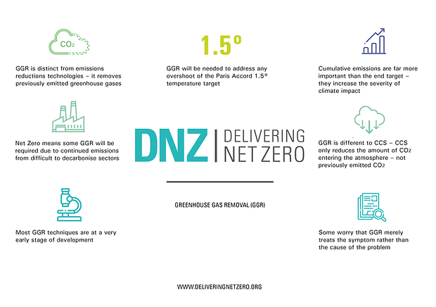 DNZ graphic highlighting key information from the Greenhouse Gas Removal document