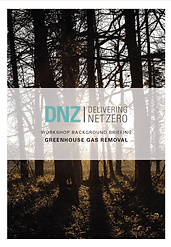 Cover for a Delivering Net Zero document entitled "Greenhouse Gas Removal"
