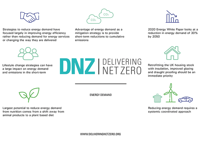 DNZ graphic highlighting key information from the Energy Demand document