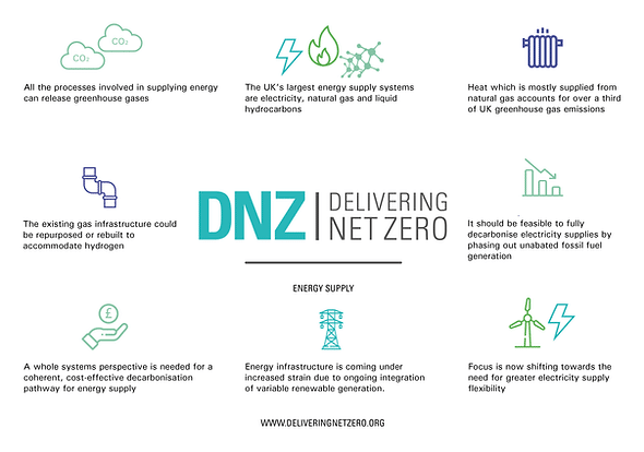 DNZ graphic highlighting key information from the Energy Supply document