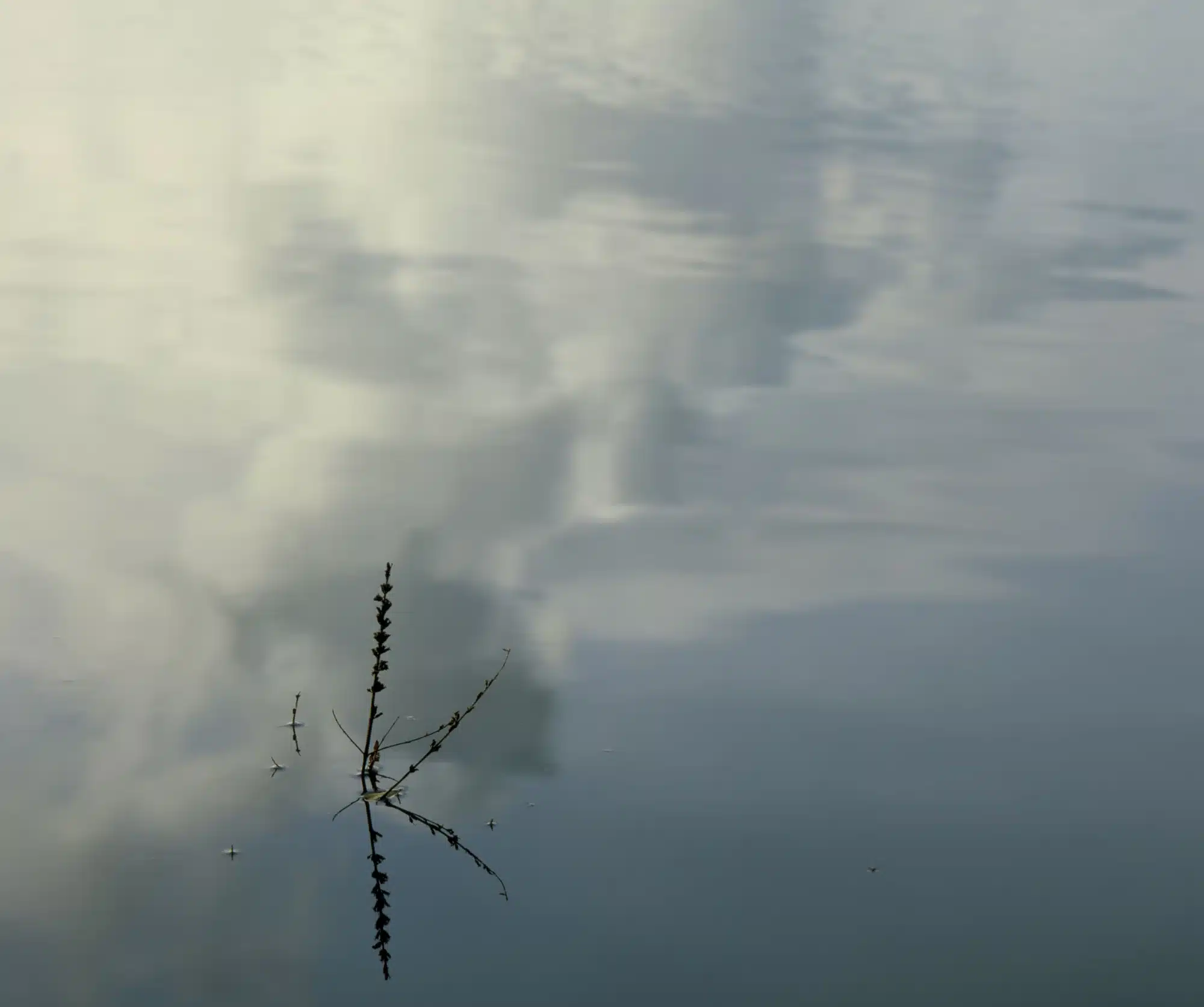 Nuclear power, no thanks?